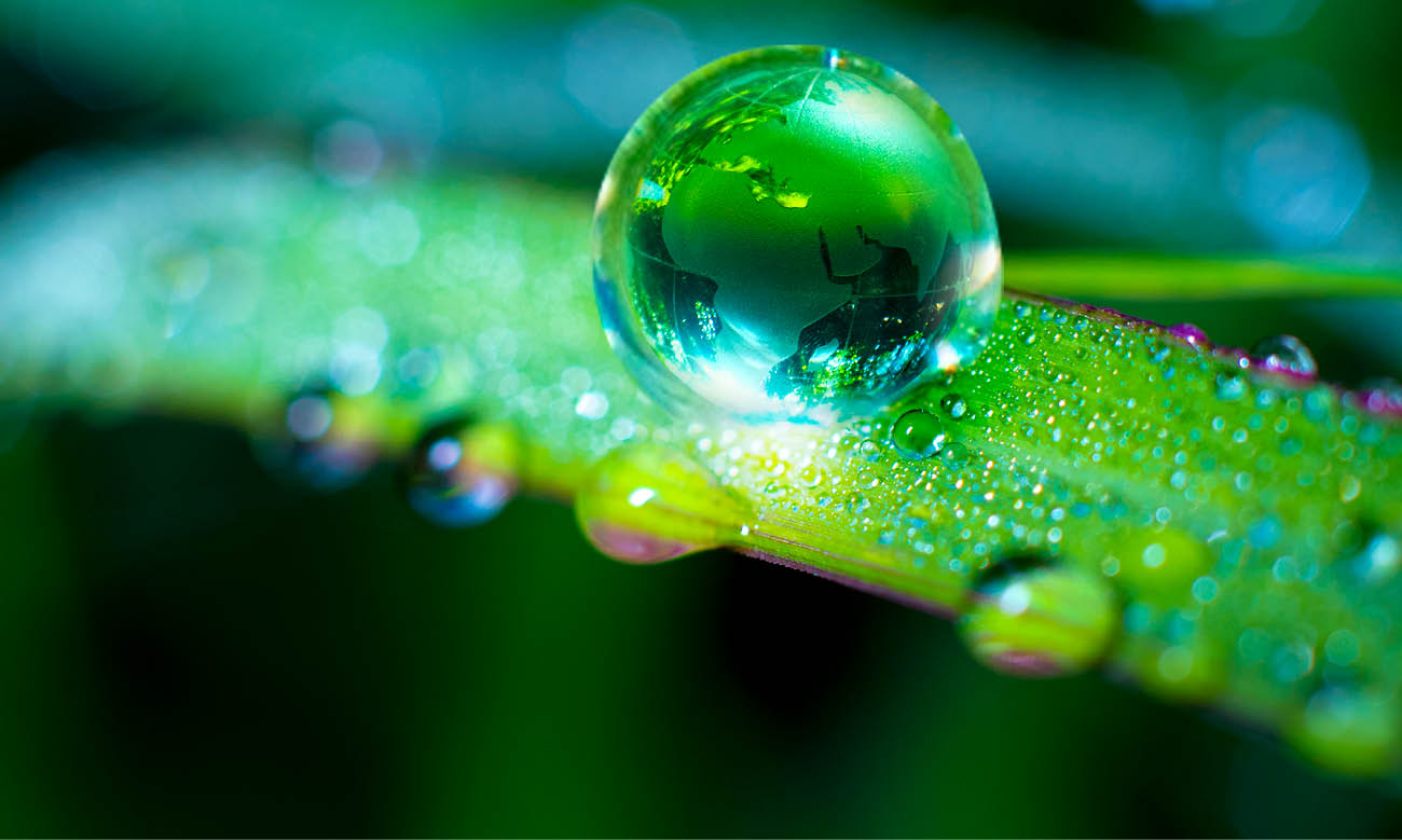 Renewable energy concept Earth Day or environment protection Hands protect forests that grow on the ground and help save the world.