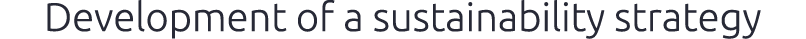Development of a sustainability strategy 