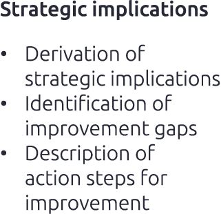 Strategic implications • Derivation of strategic implications • Identification of improvement gaps • Description of a...