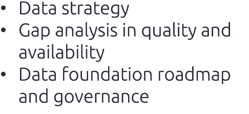 • Data strategy • Gap analysis in quality and availability • Data foundation roadmap and governance