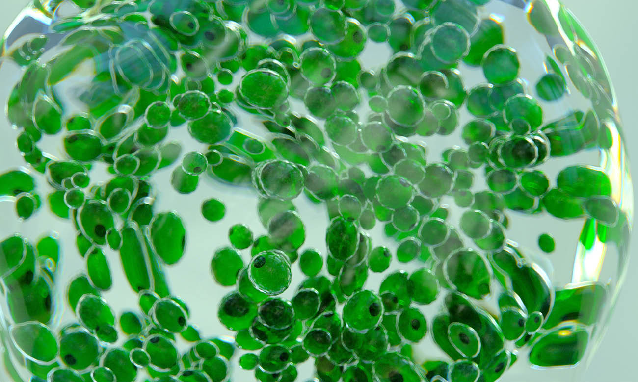 Digital generated image of green drops of liquid or hydrogen molecules inside transparent sphere.