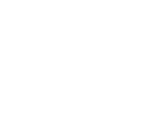 World Quality Report